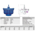 Ductile Iron Double Function Air Valve